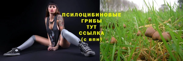 прущий лед Ельня
