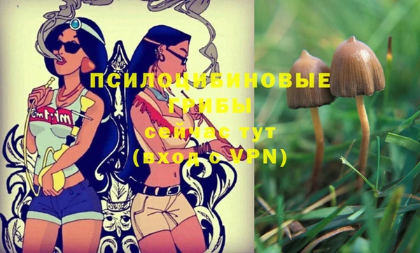 прущий лед Ельня