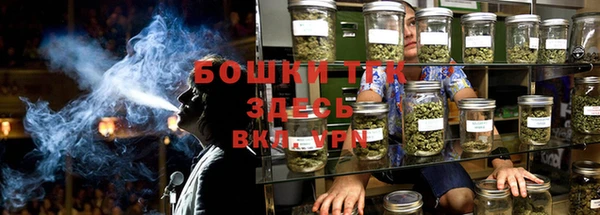 прущий лед Ельня